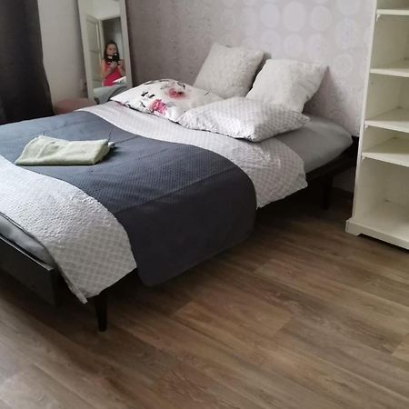 Stylovy Apartman V Centru Nachoda Bagian luar foto